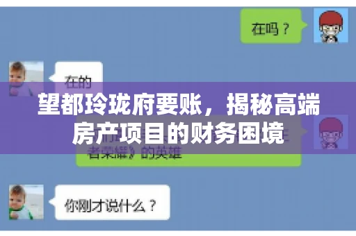 望都玲珑府要账,揭秘高端房产项目的财务困境 望都玲珑府要账,揭秘高端房产项目的财务困境
