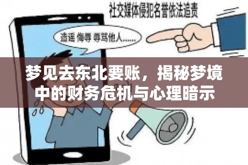 梦见去东北要账,揭秘梦境中的财务危机与心理暗示 梦见去东北要账,揭秘梦境中的财务危机与心理暗示