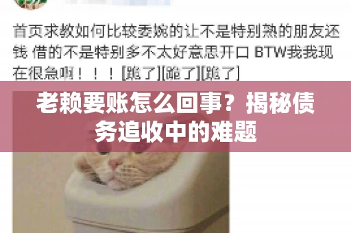 老赖要账怎么回事？揭秘债务追收中的难题