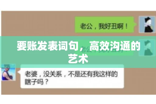 要账发表词句,高效沟通的艺术 要账发表词句,高效沟通的艺术