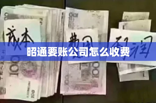昭通要账公司怎么收费
