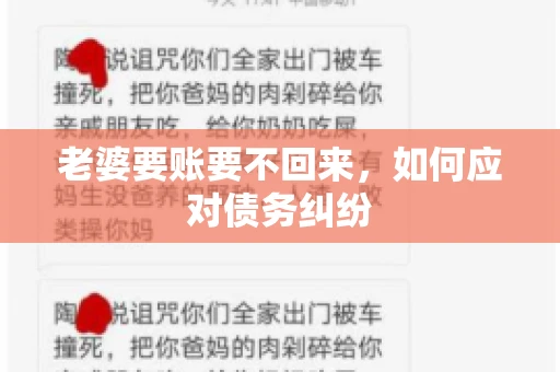 老婆要账要不回来，如何应对债务纠纷