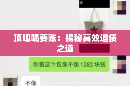 顶呱呱要账：揭秘高效追债之道