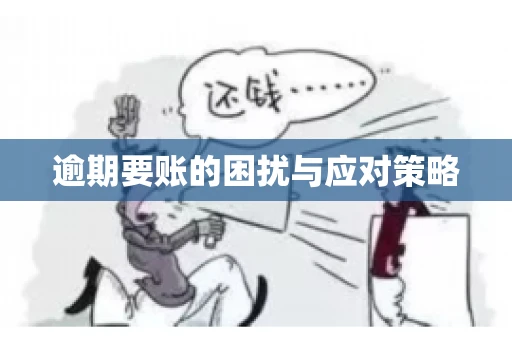 逾期要账的困扰与应对策略