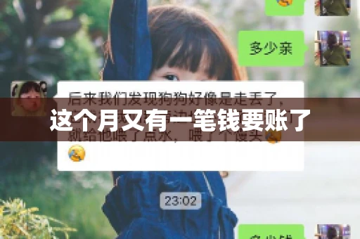 这个月又有一笔钱要账了