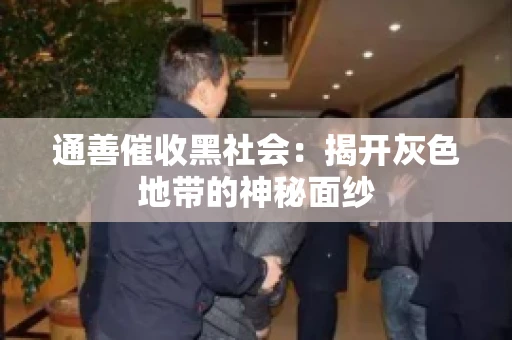 通善催收黑社会：揭开灰色地带的神秘面纱