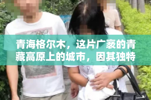 青海格尔木，这片广袤的青藏高原上的城市，因其独特的地理位置和丰富的自然资源而闻名。然而，对于一些借款人来说，这里可能因为逾期还款而接到催收电话。那么，青海格尔木的催收电话是哪家公司的呢？今天，我们就来聊聊这个话题。