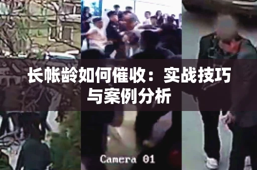 长帐龄如何催收：实战技巧与案例分析